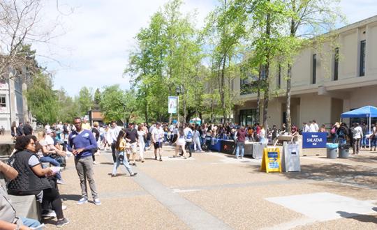 Seawolf Decision Day 2019 