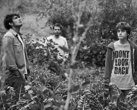 still from the movie gueros