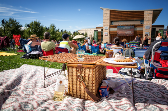 picnic basket on Weill Hall lawn