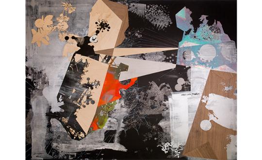 Tomas Vu, "Flatland"