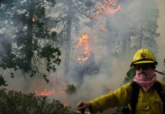 Firefighter in action
