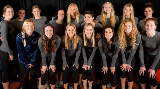 women's volleyball team