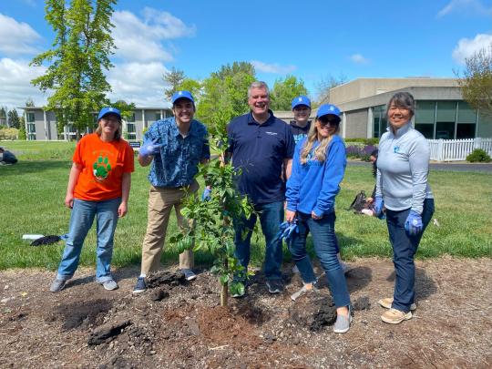 People smiling and crowding around a freshly planted tree